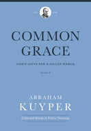 Common Grace: God's Gifts for a Fallen World, Volume 3