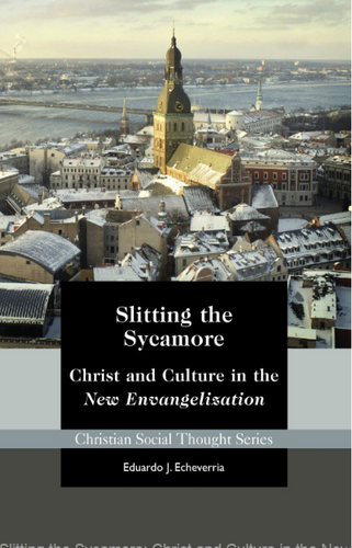 Slitting the Sycamore: Christ and Culture in the New Evangelization